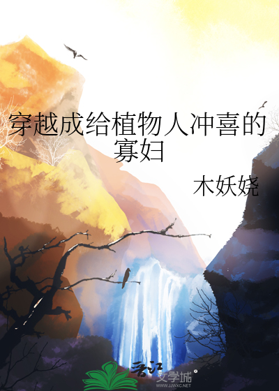穿成给植物人冲喜的寡妇